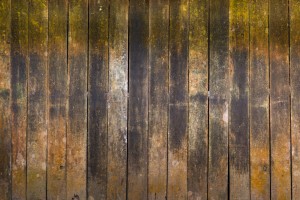how to prevent termite damage to your wood fence