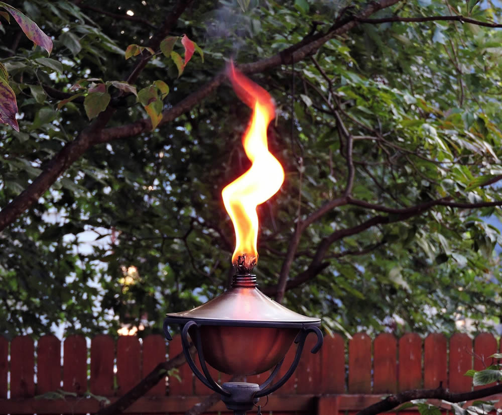 Insect-Free Cookout