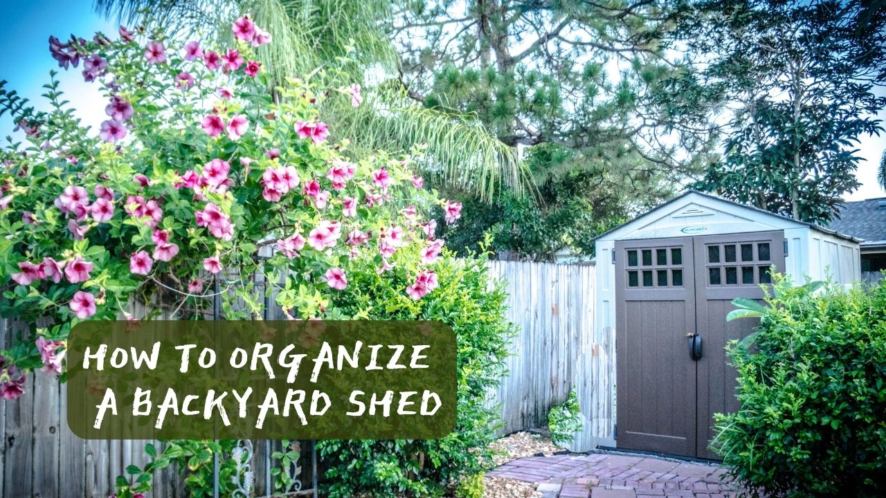 How to Organize a Backyard Shed