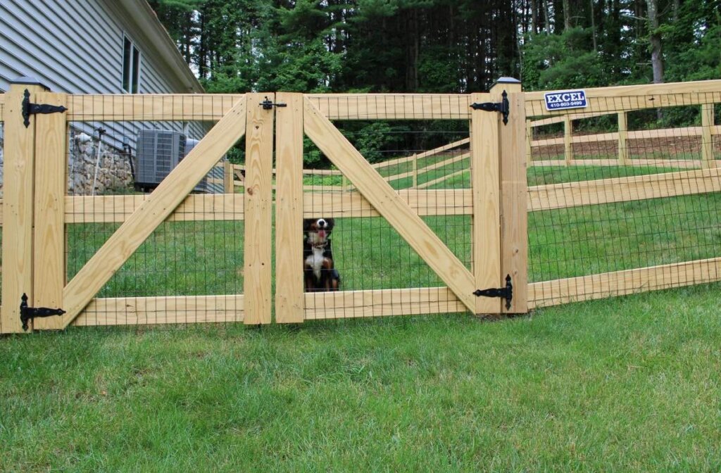 3-rail paddock fence for pets