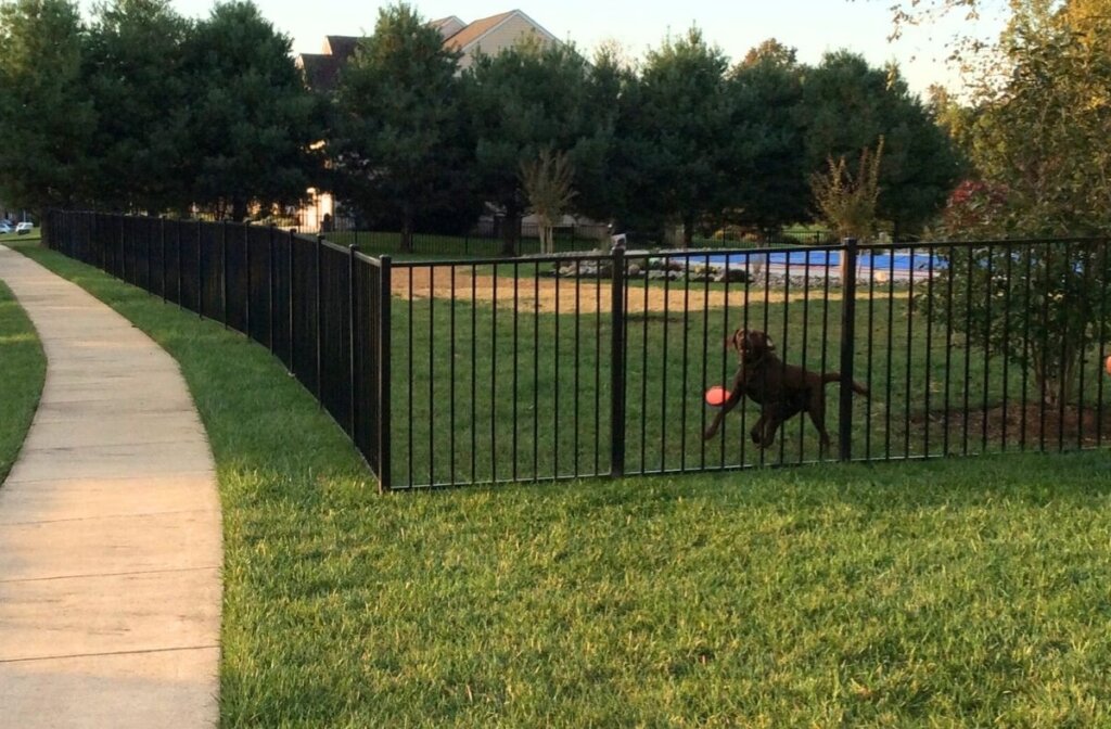 Aluminum fence for dog to play outside