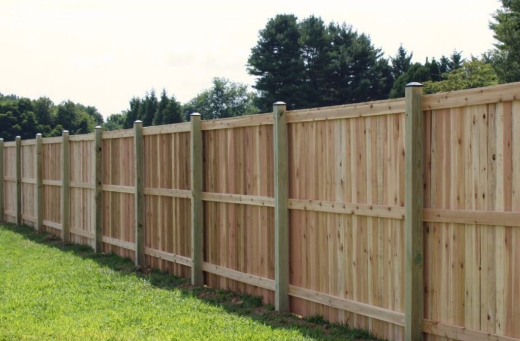interior of cedar privacy fence in Jarrettsville