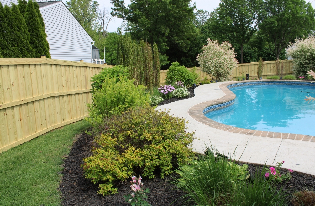 pool with a privacy fence